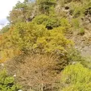 ✼@✼ プロフ必読の画像