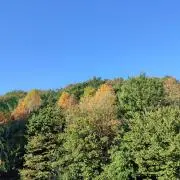 ナスカの画像