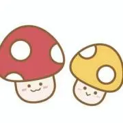 きのこの画像