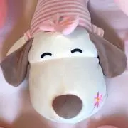ふわりん