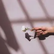 maoの画像