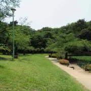 Pakasu