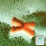 m-