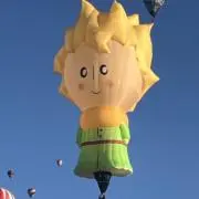 まいまい