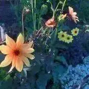 ままま⭐︎交渉可♫の画像
