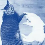 ムゥロゥテン