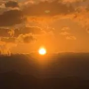 タコスの画像