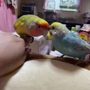 あーちゃん