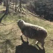 めろん◡̈♡