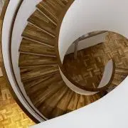 そら豆の画像