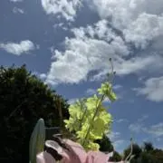 断捨離❤️の画像