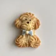 てんの画像