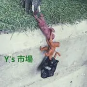 Ｙ's市場の画像