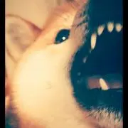 hiroの画像