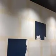 らいむの画像