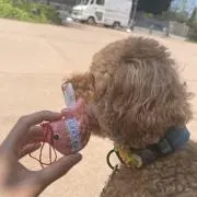 らっしゅの画像