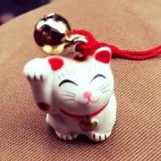 ponpokokankiの画像