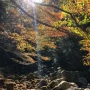 asの画像