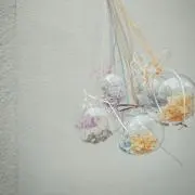 SSS⭐︎の画像