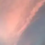 みんみんの画像