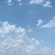 まろんの画像