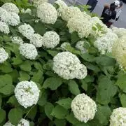 たなかの画像