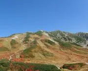Yの画像