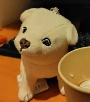 ミキの画像
