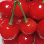 ポピージェットの画像