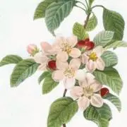 光様お待たせしました MONSTA X デビューからウォノ脱退の頃までの作品