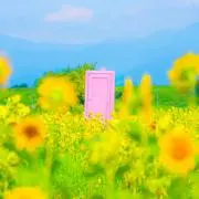モモの画像
