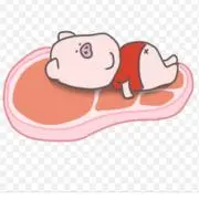 みょんたんの画像