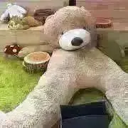 Image of gaaa*