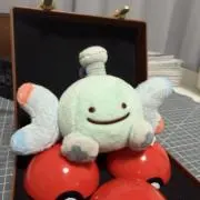 Kyoの画像