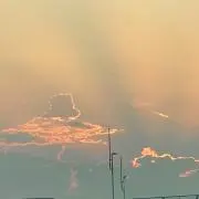 Eringiの画像
