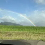 ノーム✨即日対応！お得な割引あります✨の画像