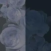 mnoの画像