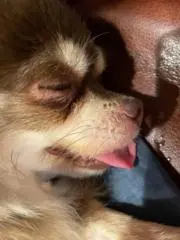 miyukiの画像