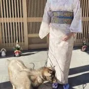 美香Nonの画像