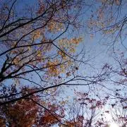Kenの画像