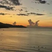 ⭐︎の画像