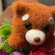 じゅんの画像