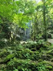 ともとよの画像