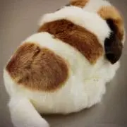 ミライの画像