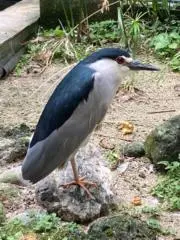エスティー
