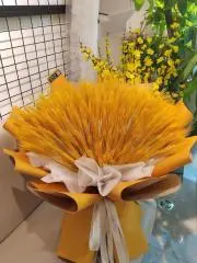 おおむぎ（同梱割引だけ)の画像