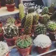 RUM꙳★*゜プロフ必読願います꙳★*゜の画像