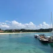 すーすーの画像
