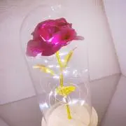 Vの画像