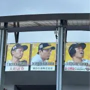 あいの画像